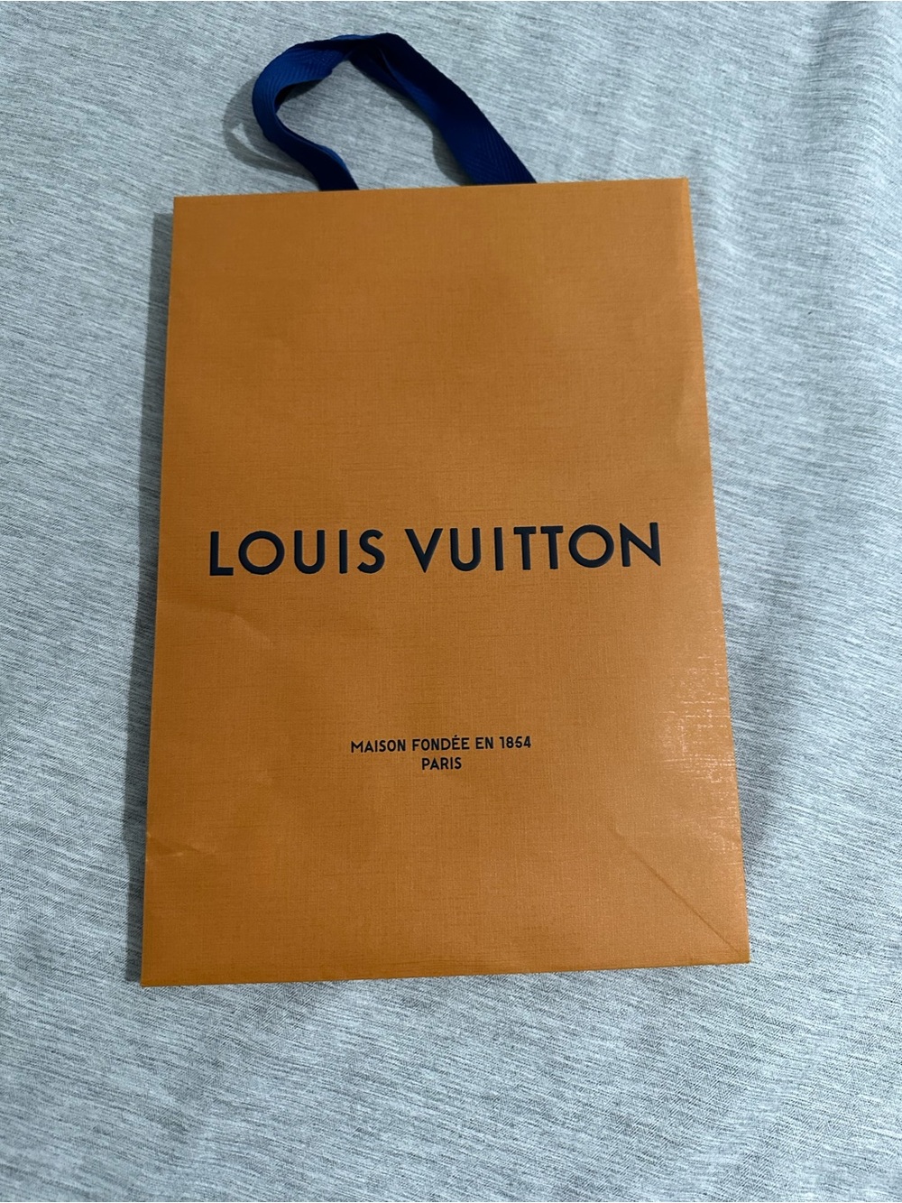 Louis Vuitton shopping bag